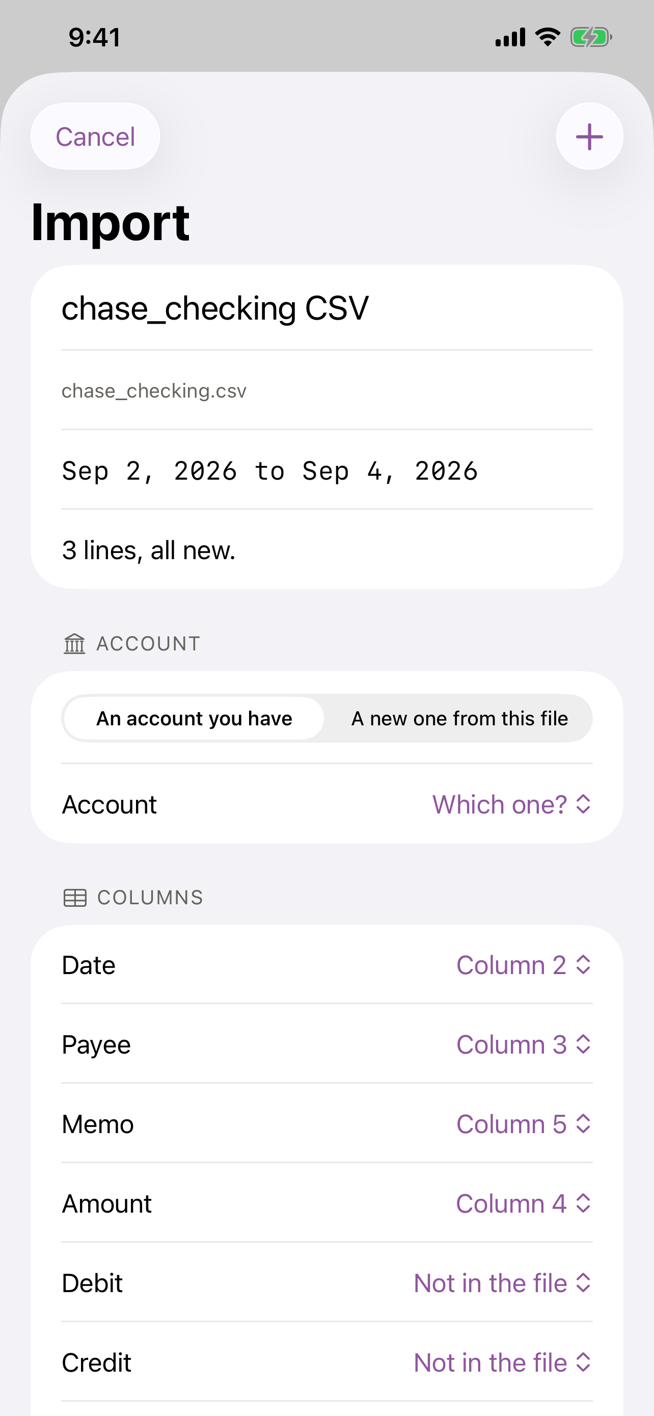 The import preview on iPhone &mdash; the format read, the dates the file covers, how many lines are new, and the columns it inferred with the first three rows as they will land