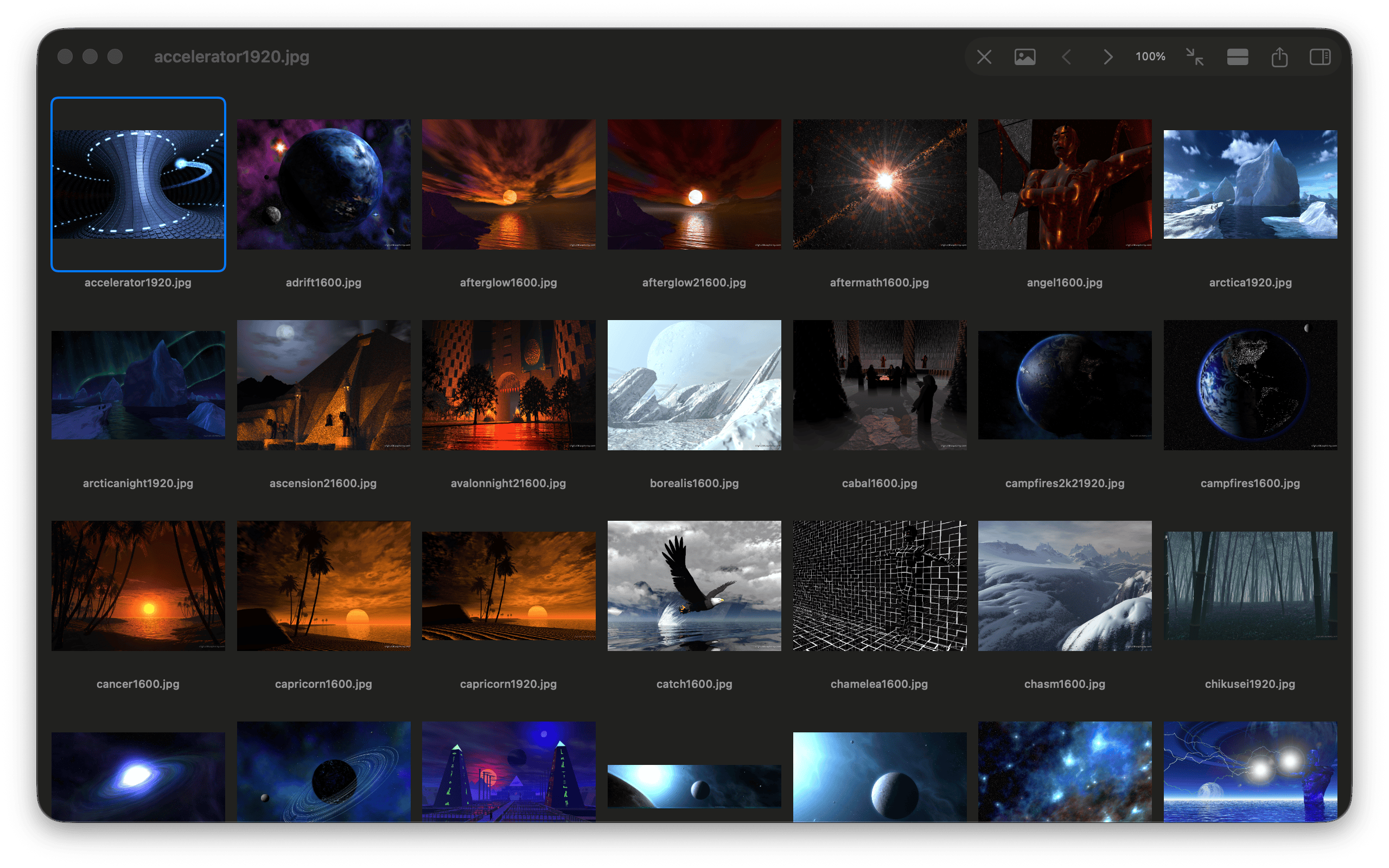 Image gallery — a grid of photo thumbnails