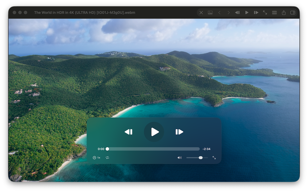 Video player with playback controls